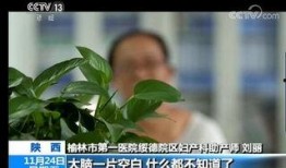陕西榆林爆料事件最新,揭开背后真相，社会关注焦点再升级