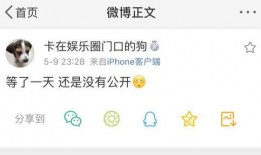 暗黑爆料免费吃瓜在线,免费吃瓜，揭秘娱乐圈幕后真相